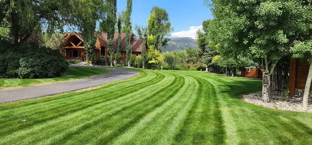 Envy Lawncare — photo from the business 6