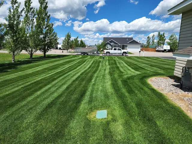 Envy Lawncare — photo from the business 2