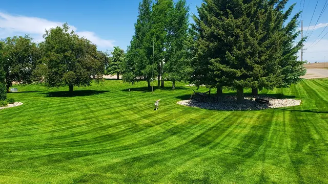 Envy Lawncare — photo from the business 1