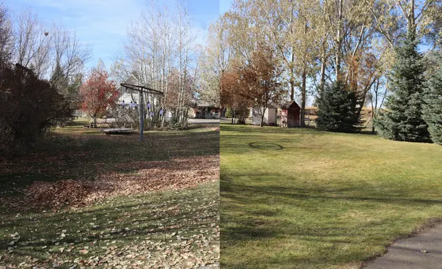 Envy Lawncare — photo from the business 7
