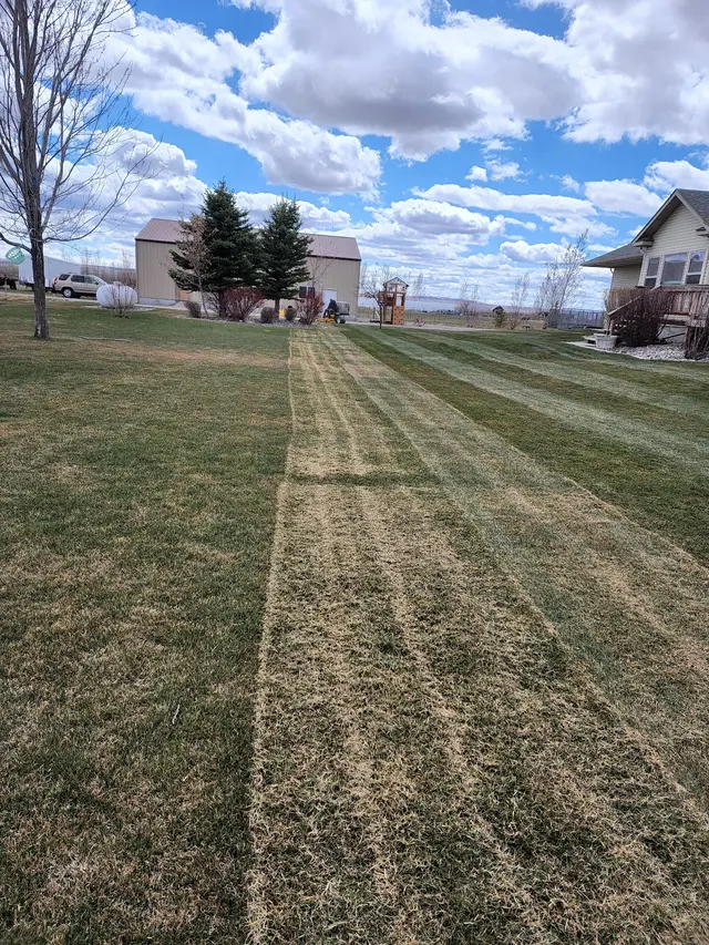 Envy Lawncare — photo from the business 10