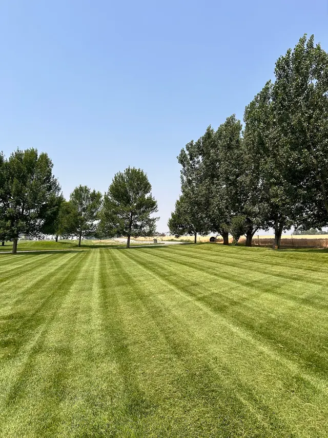 G&G Lawn Care — customer photo 3