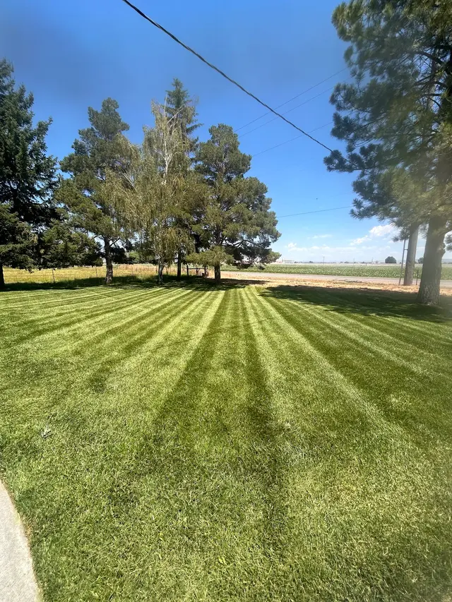 G&G Lawn Care — customer photo 2
