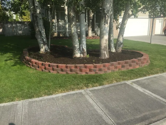 Wise Landscaping — photo from the business 5