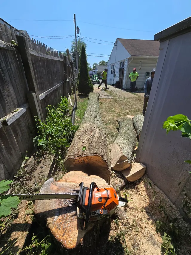 Trail Based Tree Service — photo from the business 9