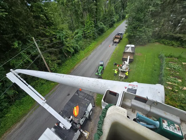 Trail Based Tree Service — photo from the business 11