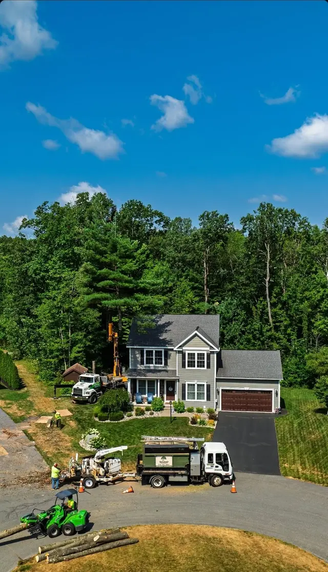 Trail Based Tree Service — photo from the business 6