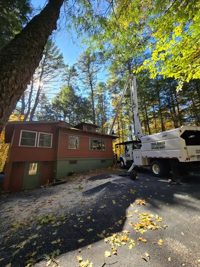Trail Based Tree Service — photo from the business 10