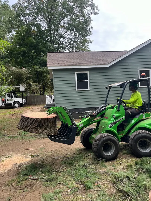 Trail Based Tree Service — photo from the business 7