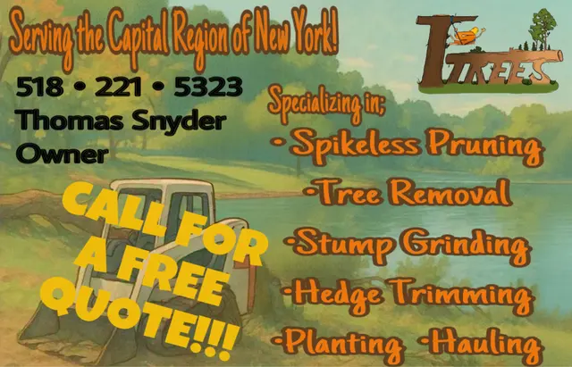 T's Trees LLC — photo from the business 1