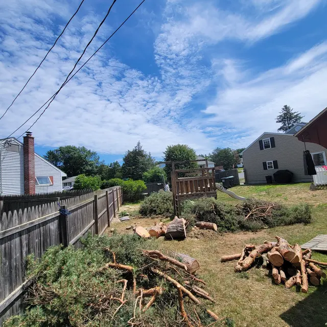 T's Trees LLC — photo from the business 11