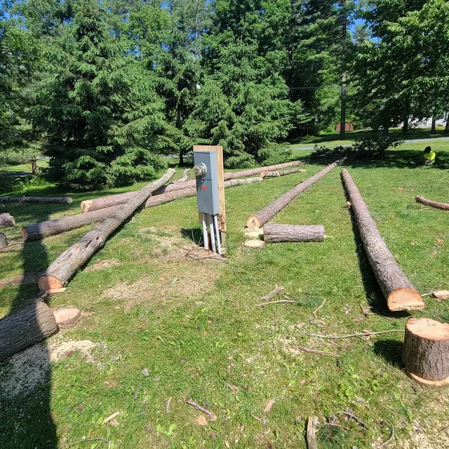 T's Trees LLC — photo from the business 9