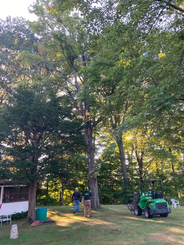 All Things Tree Service — customer photo 2
