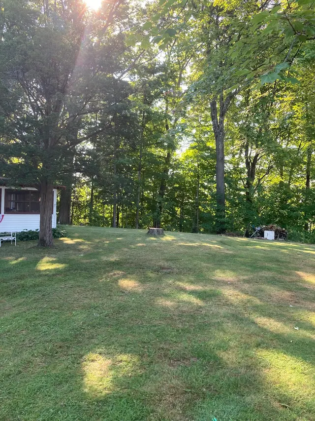 All Things Tree Service — customer photo 10