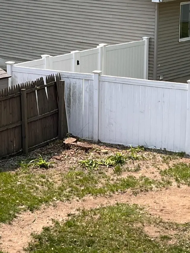 All Things Tree Service — customer photo 12
