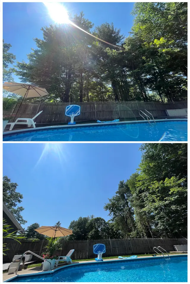 Customer photo of work by All Things Tree Service, from Tabitha Alverson's review