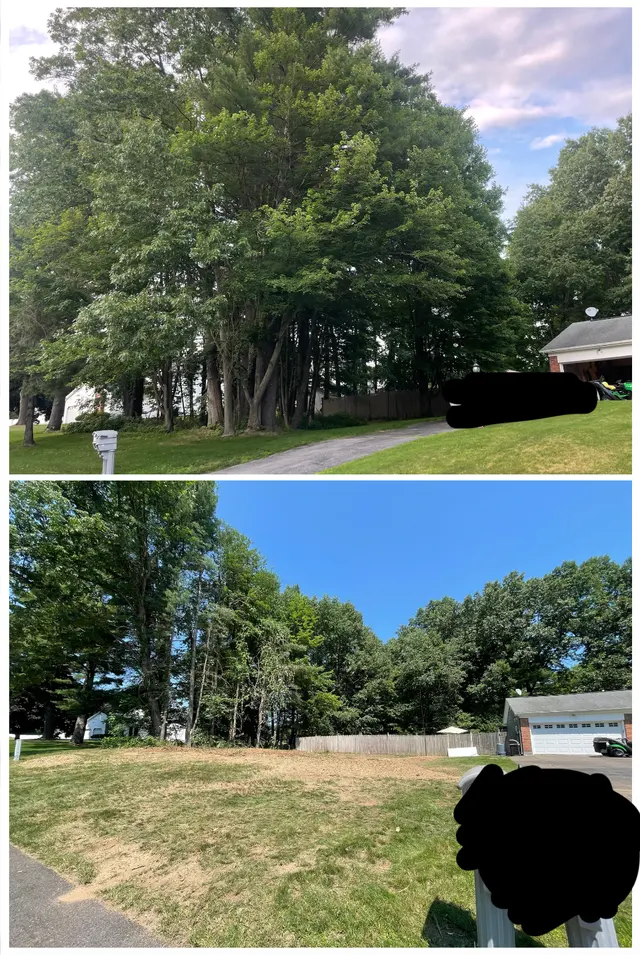 Customer photo of work by All Things Tree Service, from Tabitha Alverson's review