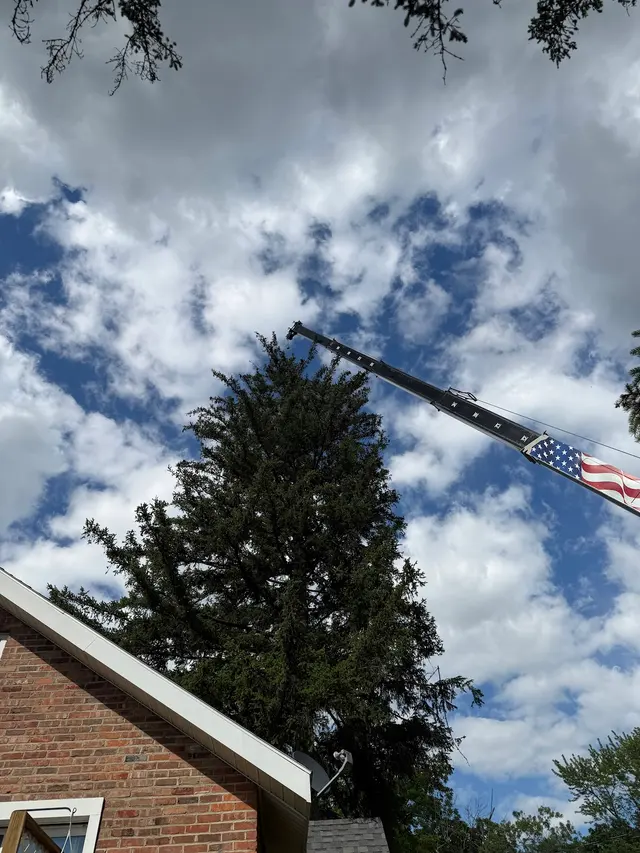 Sevenzocks Property Maintenance and Landscaping Inc — customer photo 10
