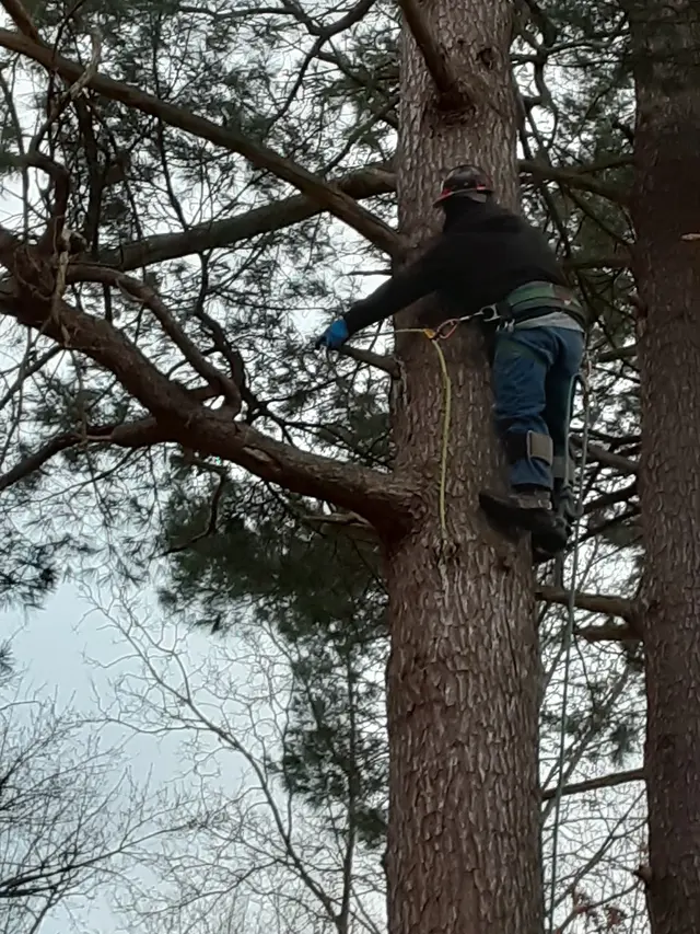Sevenzocks Property Maintenance and Landscaping Inc — photo from the business 1