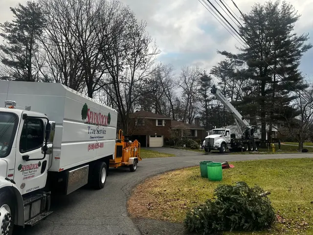 Sevenzocks Property Maintenance and Landscaping Inc — photo from the business 5