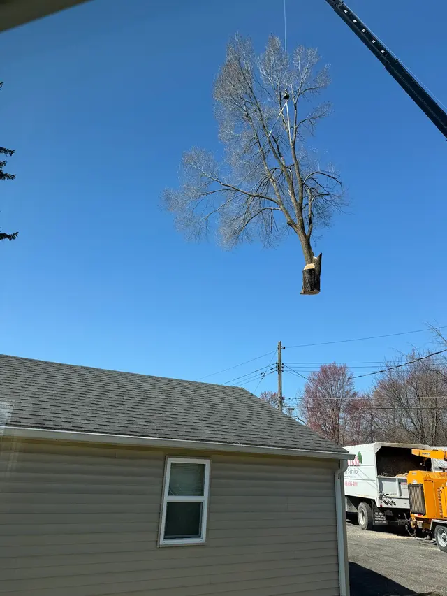 Sevenzocks Property Maintenance and Landscaping Inc — customer photo 12