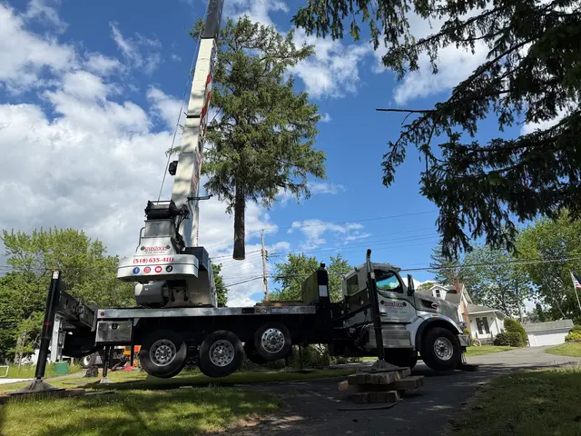 Sevenzocks Property Maintenance and Landscaping Inc — customer photo 2