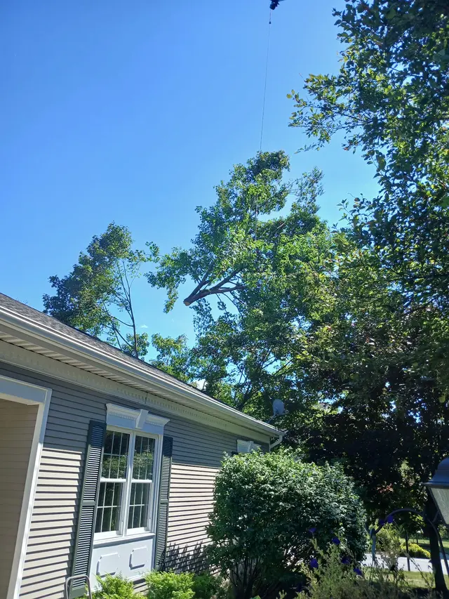 Sevenzocks Property Maintenance and Landscaping Inc — customer photo 7