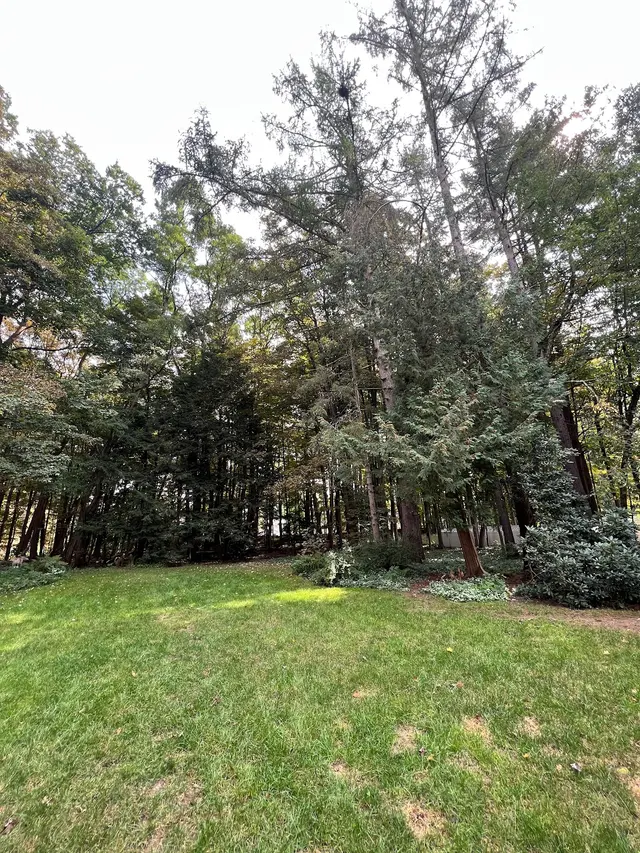 Tree Top Techs, LLC — customer photo 3