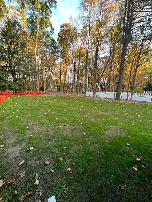 Tree Top Techs, LLC — customer photo 1