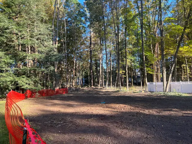 Tree Top Techs, LLC — customer photo 2