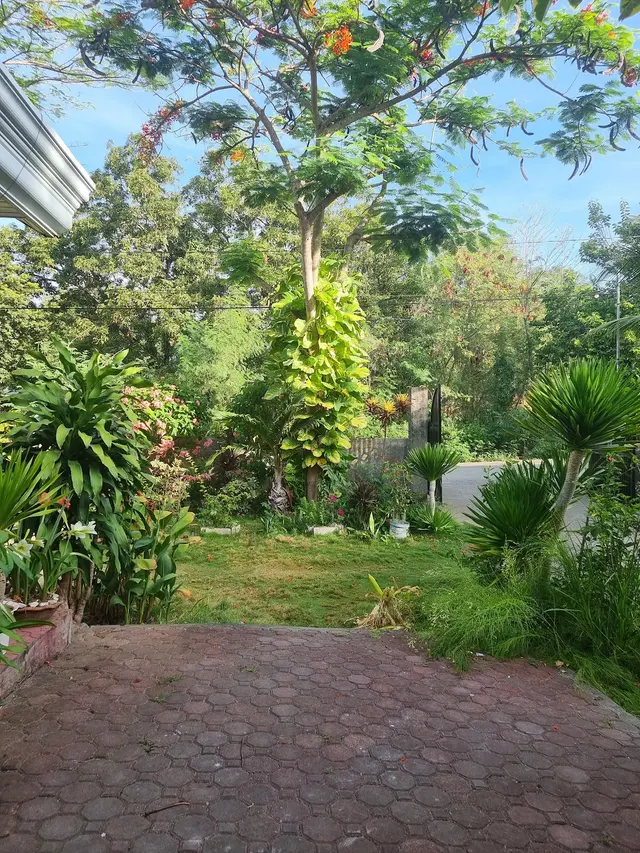 J - B Tree Specialist LLC — customer photo 9