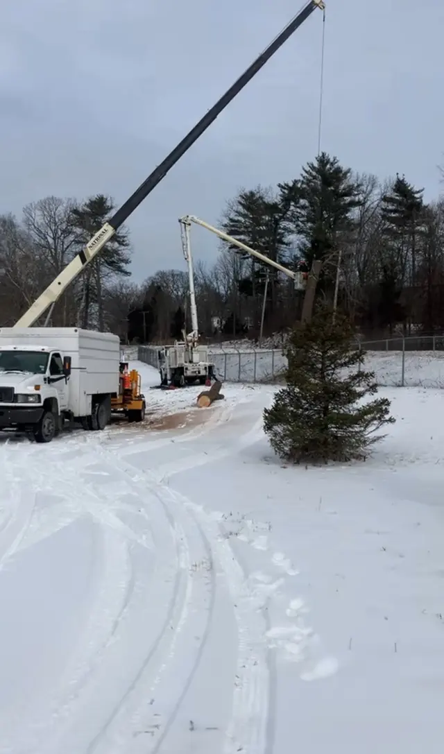 J - B Tree Specialist LLC — customer photo 2