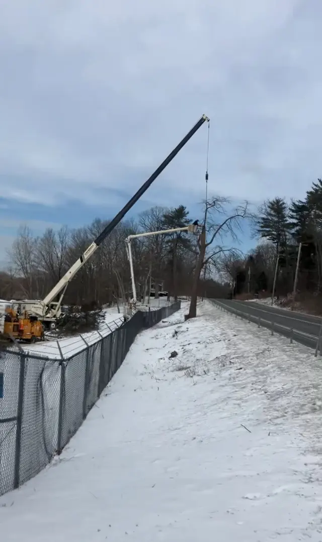 J - B Tree Specialist LLC — customer photo 6