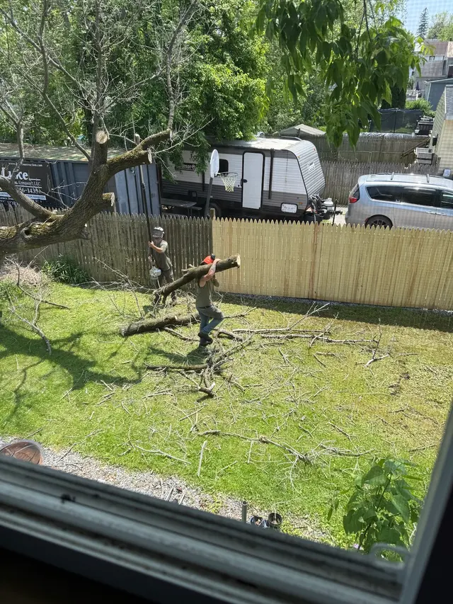 J - B Tree Specialist LLC — customer photo 8