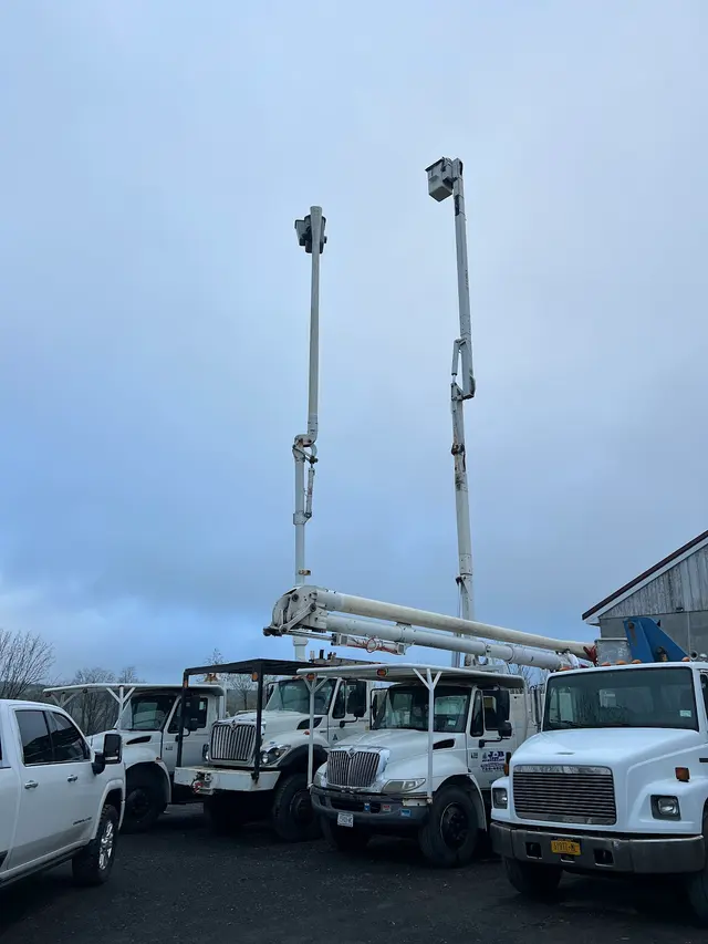 J - B Tree Specialist LLC — customer photo 5