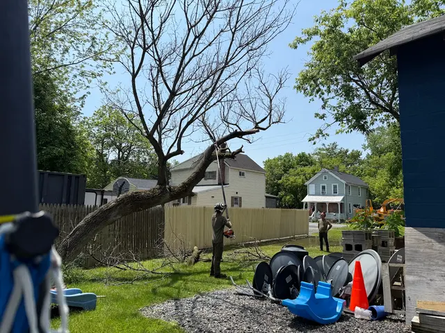 J - B Tree Specialist LLC — customer photo 7