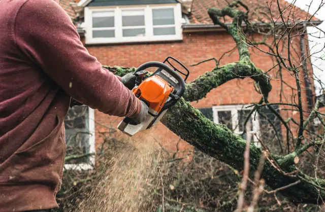 Allen's Tree & Fence — photo from the business 3
