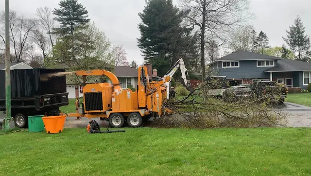 A&J Tree Service Inc. — photo from the business 4