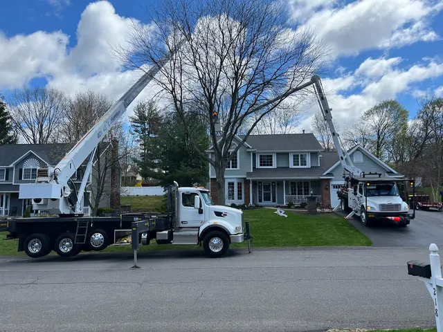 A&J Tree Service Inc. — photo from the business 2