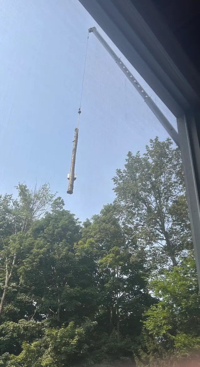 Customer photo of work by A&J Tree Service Inc., from Jason McAllister's review