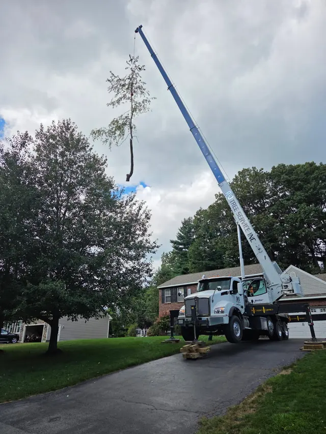 A&J Tree Service Inc. — photo from the business 7
