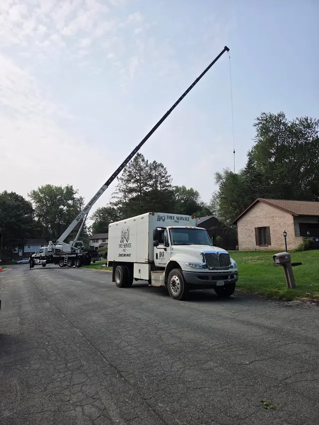 A&J Tree Service Inc. — photo from the business 9