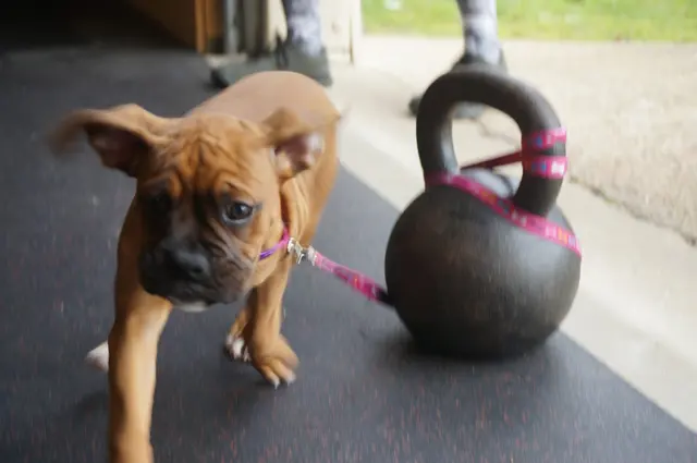 CrossFit Fondren — photo from the business 7