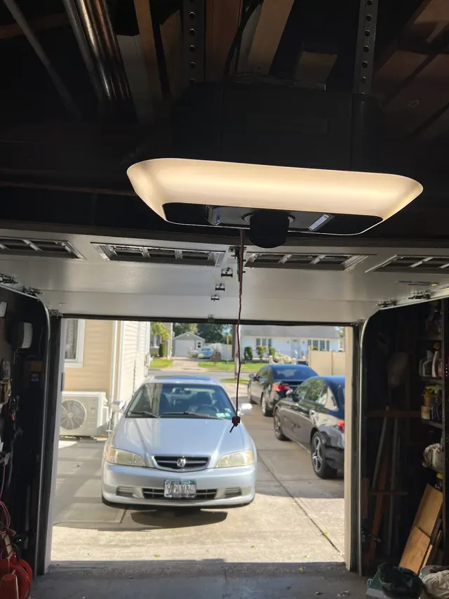 Customer photo from Livingstone's review