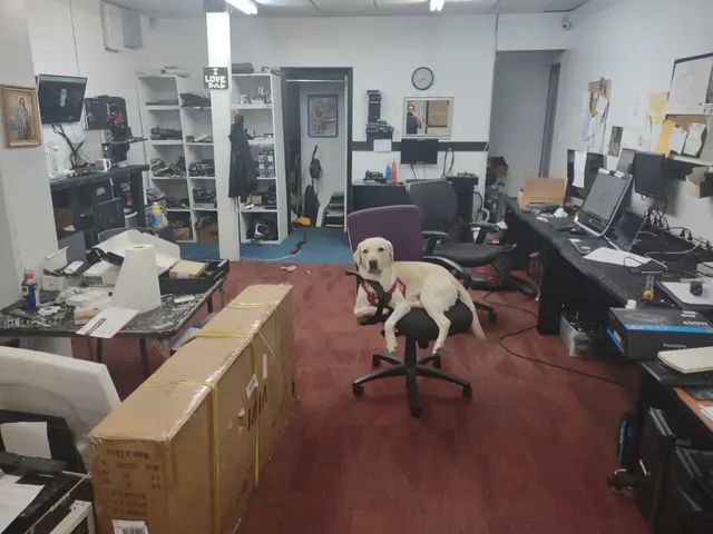 The Computer Guy — photo from the business 2