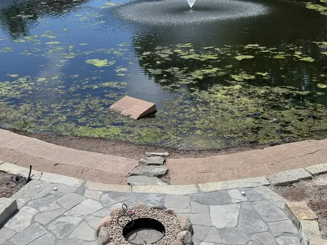 Odd Jobs Landscape & Pavers — customer photo 12