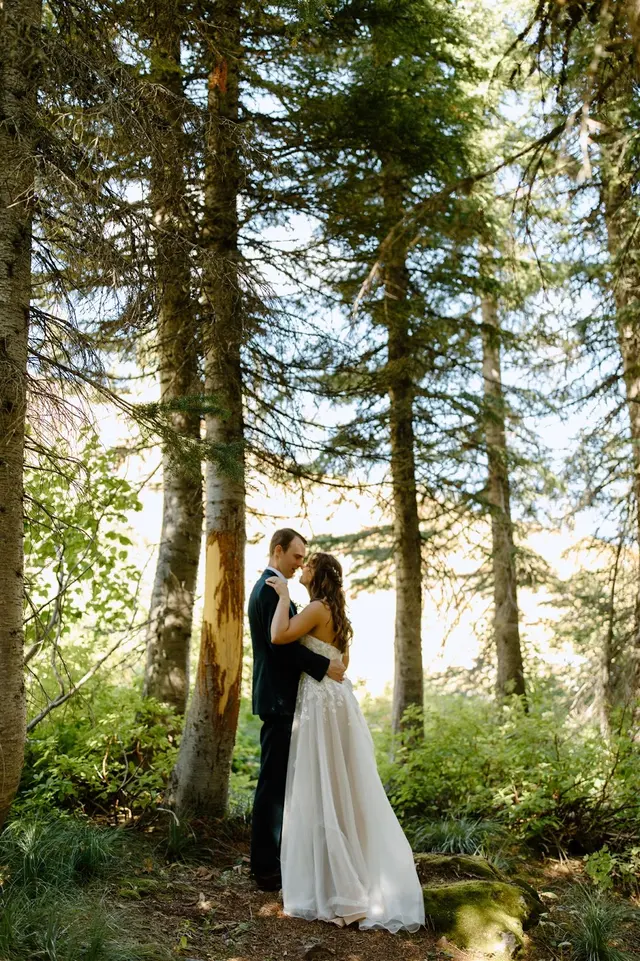 Katie Wilke Photography — photo from the business 2