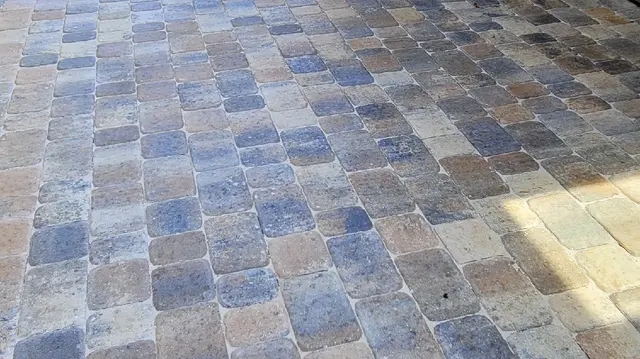 FLORIDA PRO LAWN CARE — photo from the business 1