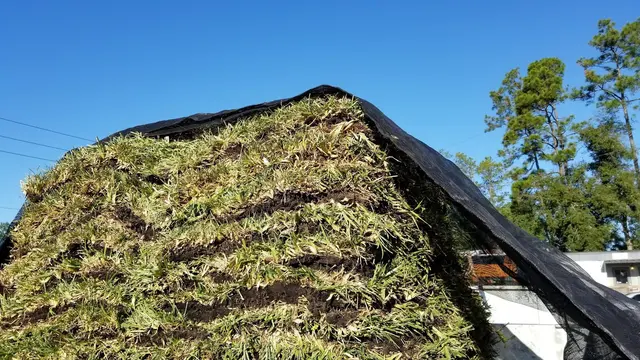 FLORIDA PRO LAWN CARE — photo from the business 11