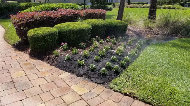 FLORIDA PRO LAWN CARE — photo from the business 10